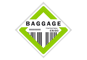 Коллекция Baggage
